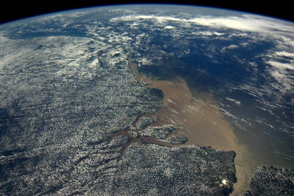 Amazon rainforest, referred to as the lungs of the Earth (Photo: ESA/ @astro_andre)