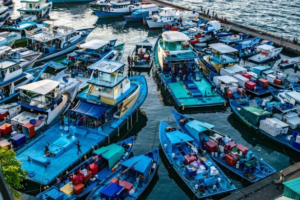 Commercial fishing vessels docked at harbour in Male' City.