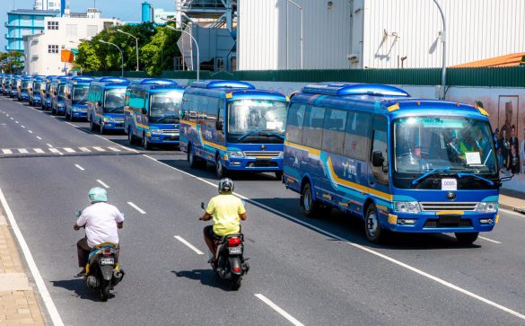 Buses used for providing public transportation service between Malé and Hulhumalé (Photo: MTCC)